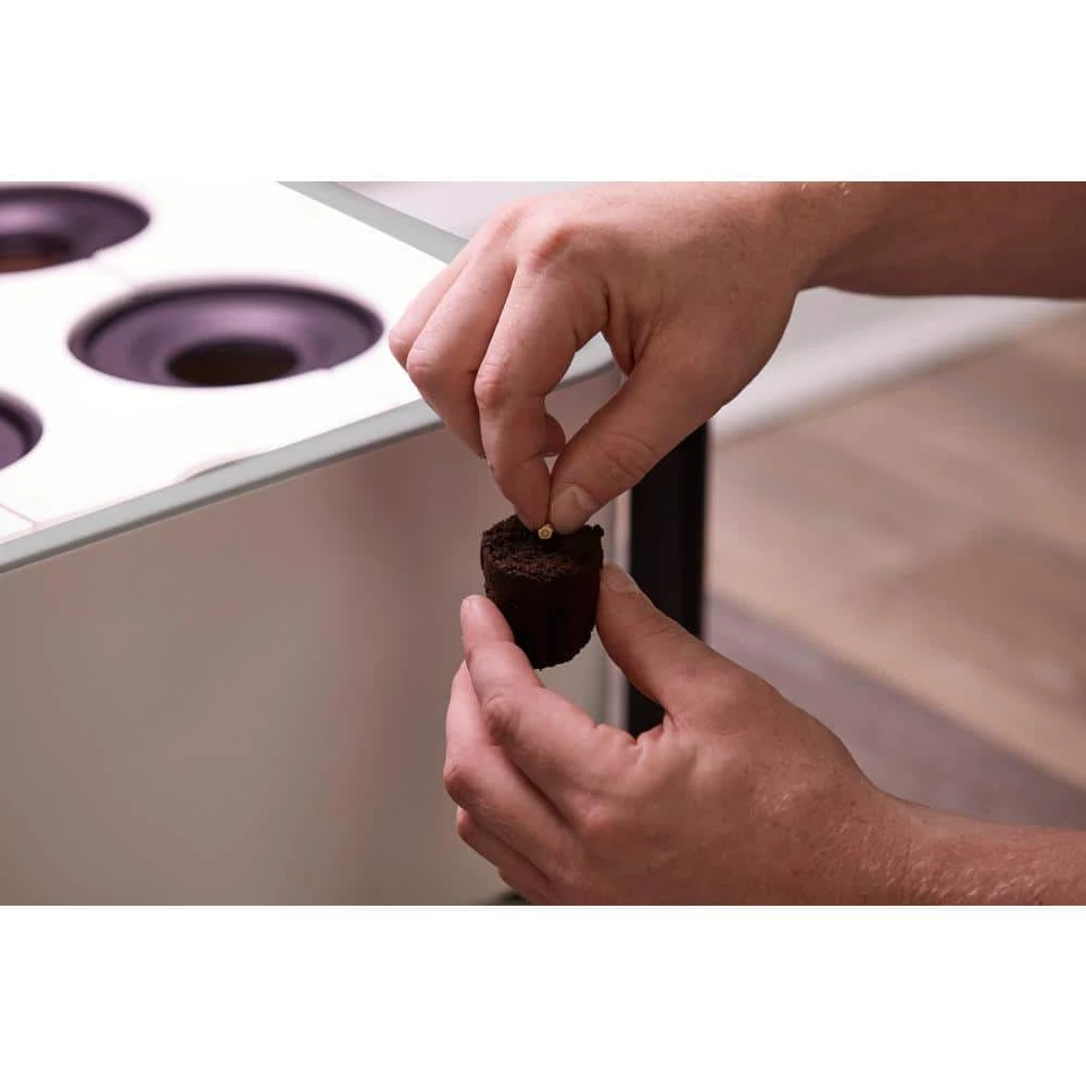 Best deal ๐ Miracle-Gro Twelve Seed Starting Kit ๐ 6 Best deal ๐ Miracle-Gro Twelve Seed Starting Kit ๐ - Image 6