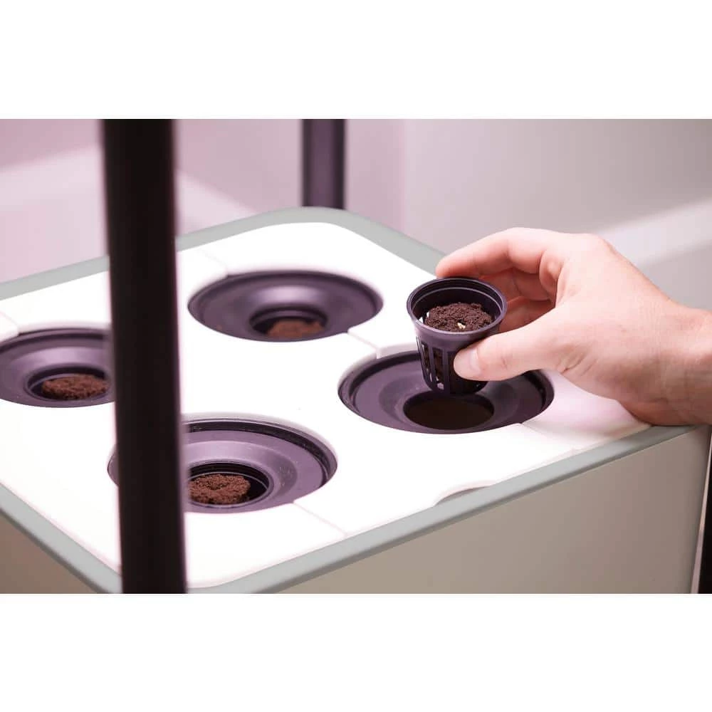 Best deal ๐ Miracle-Gro Twelve Seed Starting Kit ๐ 8 Best deal ๐ Miracle-Gro Twelve Seed Starting Kit ๐ - Image 8