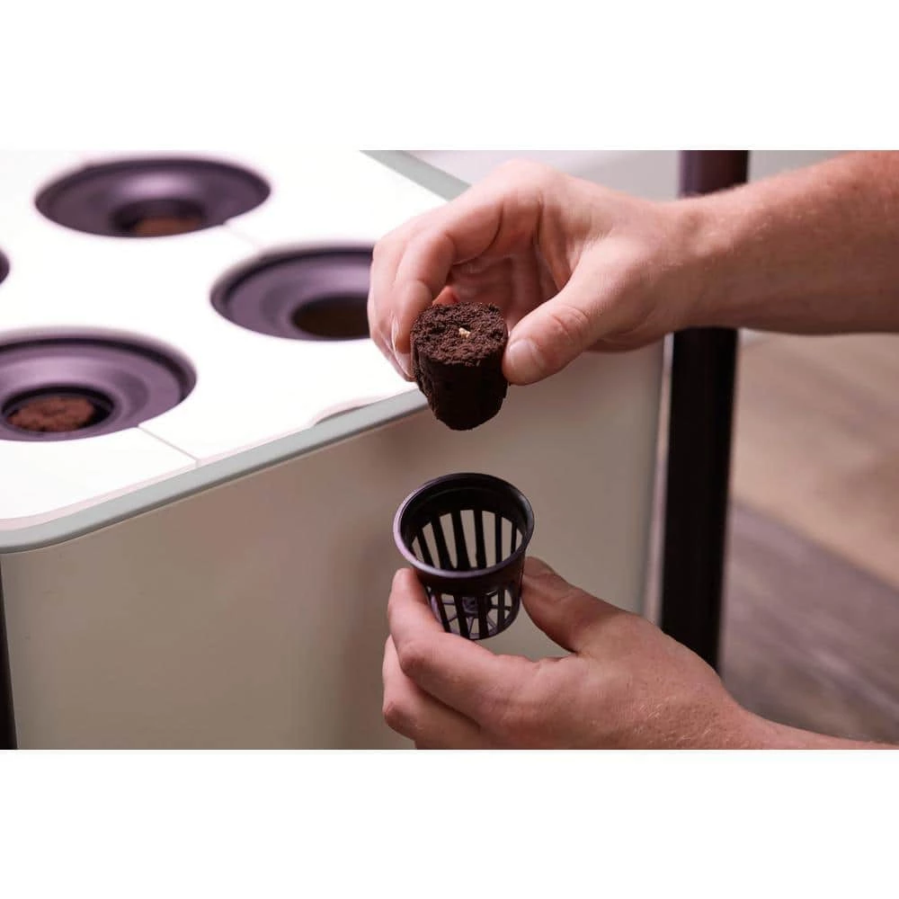 Best deal ๐ Miracle-Gro Twelve Seed Starting Kit ๐ 2 Best deal ๐ Miracle-Gro Twelve Seed Starting Kit ๐ - Image 2