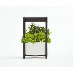 Deals ๐งจ Miracle-Gro Twelve Indoor Growing System ๐