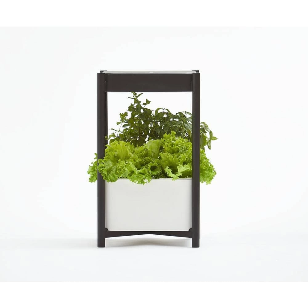 Deals 𧨠Miracle-Gro Twelve Indoor Growing System π 1 Deals 𧨠Miracle-Gro Twelve Indoor Growing System π