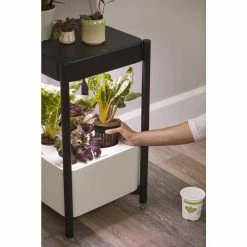 Deals 𧨠Miracle-Gro Twelve Indoor Growing System π 21 Deals 𧨠Miracle-Gro Twelve Indoor Growing System π -Miracle-Gro Sales Store black miracle gro hydroponic systems 450031005 d4 1000