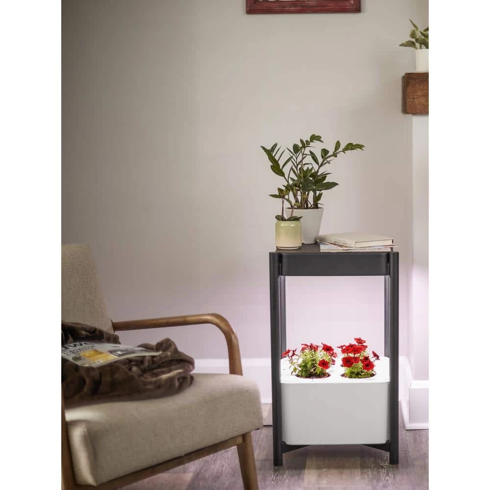 Deals 𧨠Miracle-Gro Twelve Indoor Growing System π 2 Deals 𧨠Miracle-Gro Twelve Indoor Growing System π - Image 2