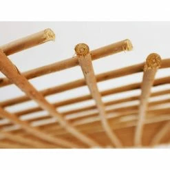 Coupon 🌟 Backyard X-Scapes 36 in. H x 72 in. L Expandable Peeled Willow Wood Trellis Fence (2-Pack) 🔔 -Miracle-Gro Sales Store browns tans backyard x scapes garden trellises 20 wtc6pk2 4f 1000