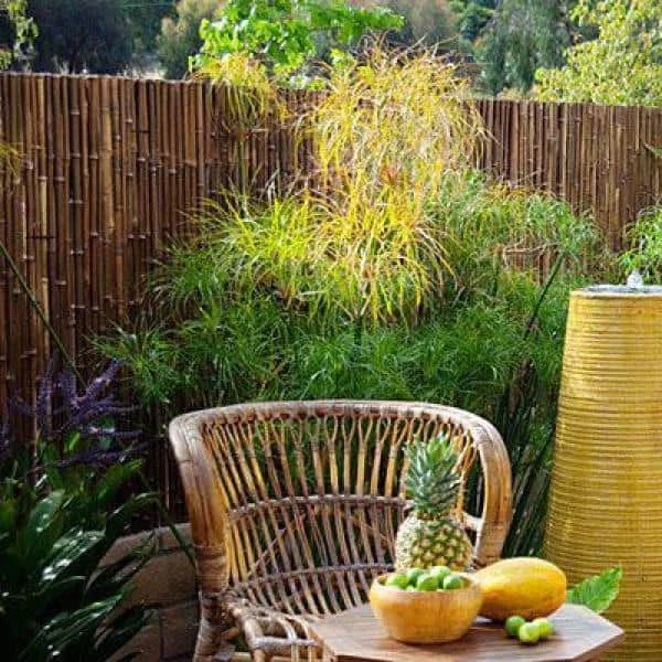 Best Pirce 🔔 Backyard X-Scapes 4 ft. H x 8 ft. L x 1 in. D Caramel Brown Bamboo Garden Fencing 🥰 5 Best Pirce 🔔 Backyard X-Scapes 4 ft. H x 8 ft. L x 1 in. D Caramel Brown Bamboo Garden Fencing 🥰 - Image 5