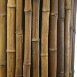 Best Pirce 🔔 Backyard X-Scapes 4 ft. H x 8 ft. L x 1 in. D Caramel Brown Bamboo Garden Fencing 🥰 9 Best Pirce 🔔 Backyard X-Scapes 4 ft. H x 8 ft. L x 1 in. D Caramel Brown Bamboo Garden Fencing 🥰 -Miracle-Gro Sales Store caramel brown backyard x scapes garden fencing 22 cb4 4f 1000