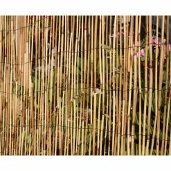 Budget ✨ Backyard X-Scapes 72 in. H x 192 in. L Bamboo Cocoa Peeled Reed Fence Panel Decorative Screen Fence for Backyard Garden Fencing Divider 🤩 -Miracle-Gro Sales Store cocoa backyard x scapes garden fencing 20 c6bx 1f 1000