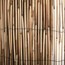 Budget ✨ Backyard X-Scapes 72 in. H x 192 in. L Bamboo Cocoa Peeled Reed Fence Panel Decorative Screen Fence for Backyard Garden Fencing Divider 🤩 -Miracle-Gro Sales Store cocoa backyard x scapes garden fencing 20 c6bx fa 1000