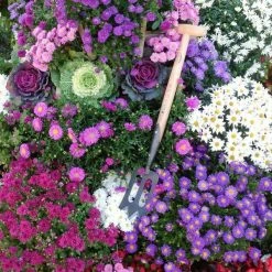 Coupon 👍 DeWit Perennial Spork 🌟 -Miracle-Gro Sales Store dewit garden forks 31 0815 4f 1000