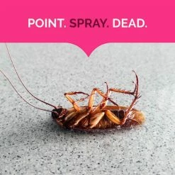 Wholesale 🔥 Hot Shot 17.5 oz. Ant, Roach, and Spider Insect Killer Aerosol Spray Fresh Floral Scent (2-Pack) 😉 -Miracle-Gro Sales Store hot shot bug killer spray hg 26781 2 44 1000