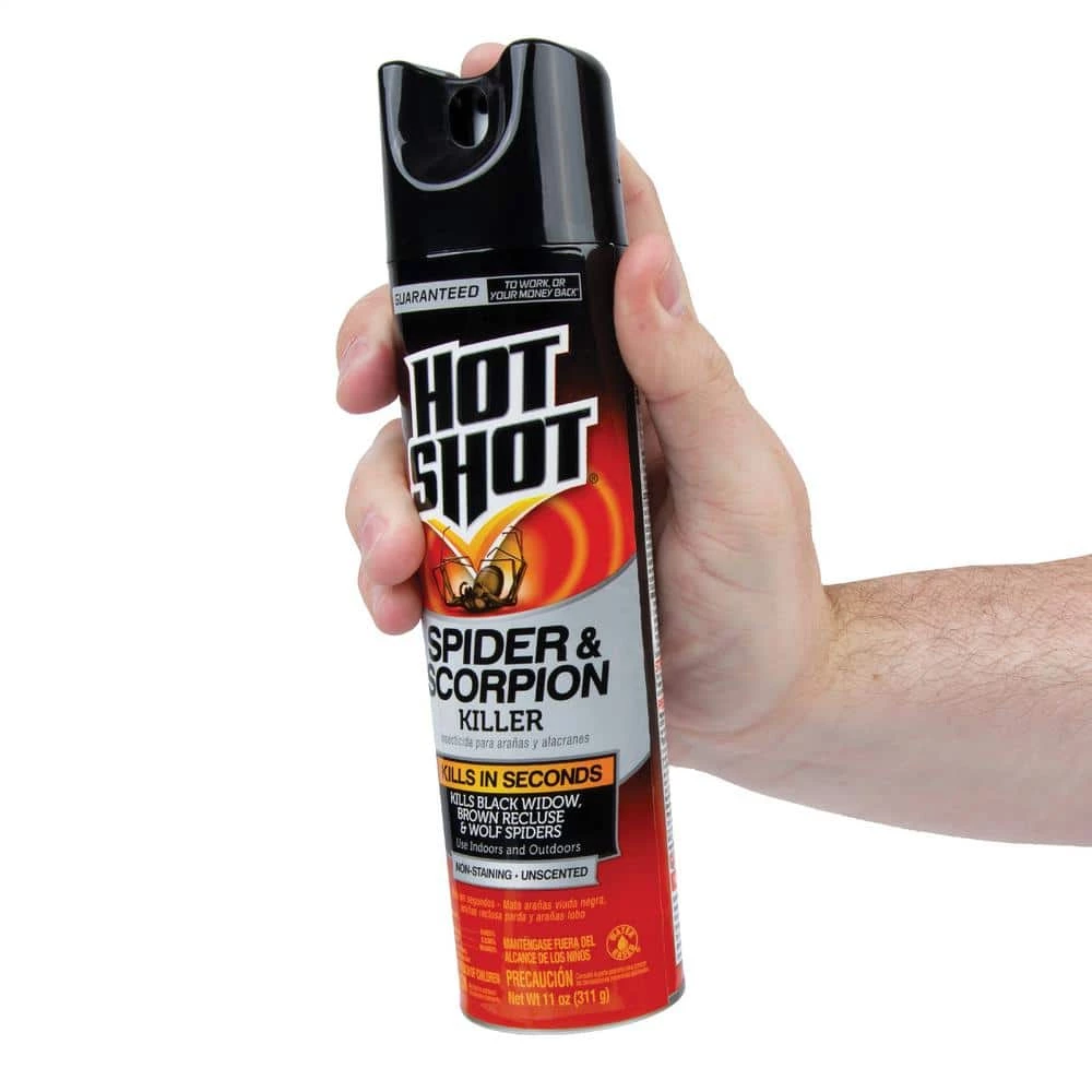 Cheapest ๐ Hot Shot 11 oz. Spider and Scorpion Killer Aerosol Spray โญ 6 Cheapest ๐ Hot Shot 11 oz. Spider and Scorpion Killer Aerosol Spray โญ - Image 6