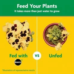 Best reviews of ❤️ Miracle-Gro 10 lbs. Water Soluble All Purpose Plant Food 🌟 19 Best reviews of ❤️ Miracle-Gro 10 lbs. Water Soluble All Purpose Plant Food 🌟 -Miracle-Gro Sales Store miracle gro plant food fertilizer 1001192 1f 1000