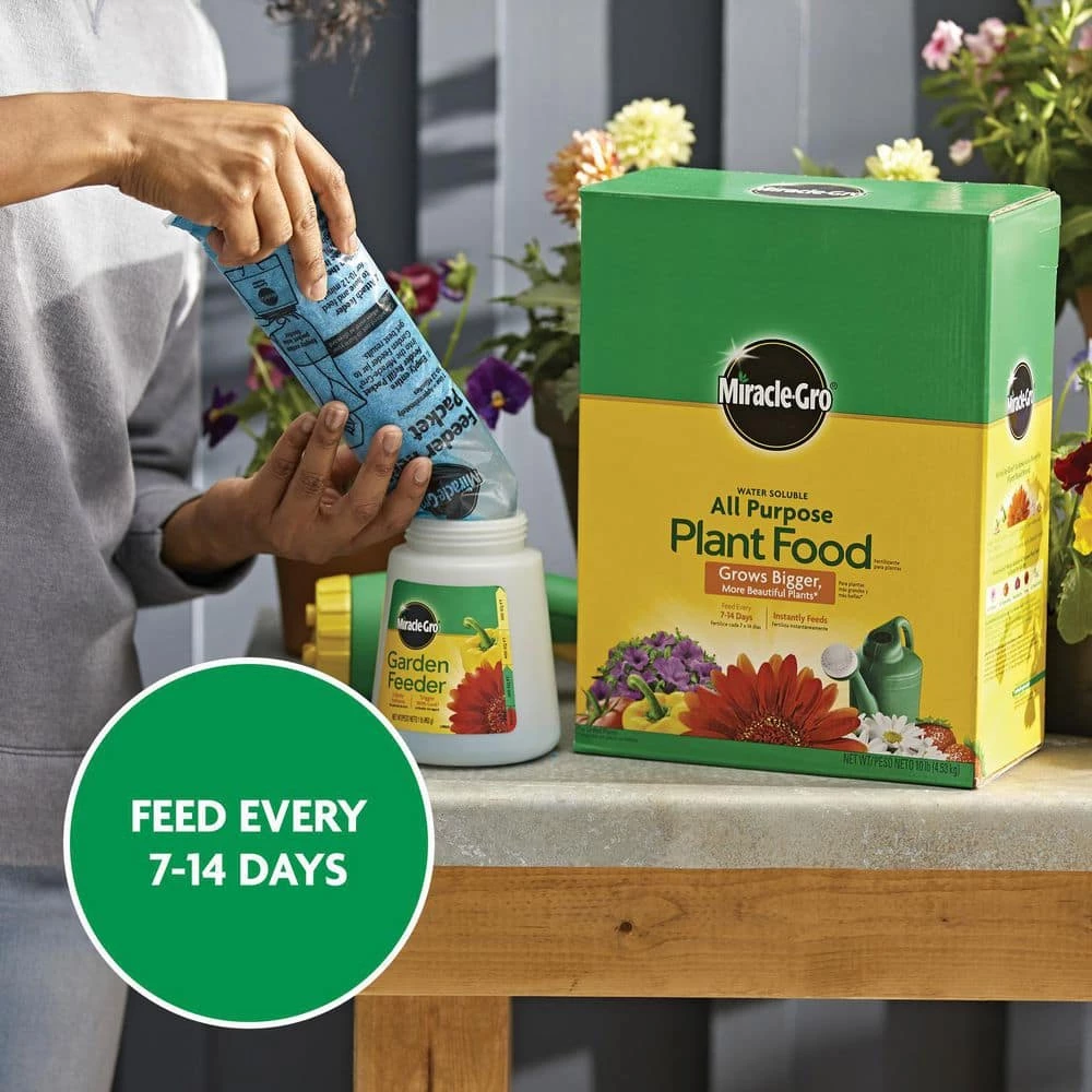Best reviews of ❤️ Miracle-Gro 10 lbs. Water Soluble All Purpose Plant Food 🌟 9 Best reviews of ❤️ Miracle-Gro 10 lbs. Water Soluble All Purpose Plant Food 🌟 - Image 9