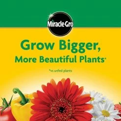 Best reviews of ❤️ Miracle-Gro 10 lbs. Water Soluble All Purpose Plant Food 🌟 18 Best reviews of ❤️ Miracle-Gro 10 lbs. Water Soluble All Purpose Plant Food 🌟 -Miracle-Gro Sales Store miracle gro plant food fertilizer 1001192 4f 1000