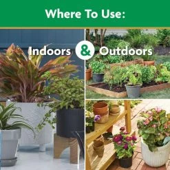 Best reviews of ❤️ Miracle-Gro 10 lbs. Water Soluble All Purpose Plant Food 🌟 16 Best reviews of ❤️ Miracle-Gro 10 lbs. Water Soluble All Purpose Plant Food 🌟 -Miracle-Gro Sales Store miracle gro plant food fertilizer 1001192 66 1000