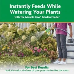 Best reviews of ❤️ Miracle-Gro 10 lbs. Water Soluble All Purpose Plant Food 🌟 21 Best reviews of ❤️ Miracle-Gro 10 lbs. Water Soluble All Purpose Plant Food 🌟 -Miracle-Gro Sales Store miracle gro plant food fertilizer 1001192 fa 1000