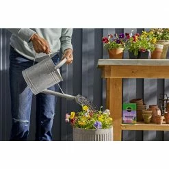 Discount 😉 Miracle-Gro Bloom Booster 1.5 lb. Water Soluble Flower Food 🔥 -Miracle-Gro Sales Store miracle gro plant food fertilizer 100192 d4 1000