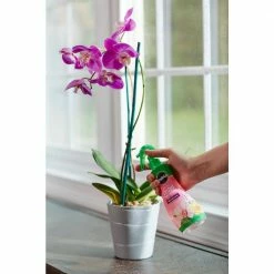 Deals 🎁 Miracle-Gro Orchid 8 oz. Ready-To-Use Plant Food Mist 😉 -Miracle-Gro Sales Store miracle gro plant food fertilizer 100195 4f 1000