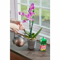 Deals 🔥 Miracle-Gro 8 oz. Water-Soluble Orchid Plant Food 💯 -Miracle-Gro Sales Store miracle gro plant food fertilizer 100199 1f 1000