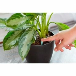 Hot Sale 🛒 Miracle-Gro 1.1 oz. Indoor Plant Food Spikes Dry Fertilizer 🤩 -Miracle-Gro Sales Store miracle gro plant food fertilizer 1002521 44 1000