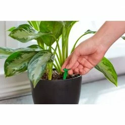 Hot Sale 🛒 Miracle-Gro 1.1 oz. Indoor Plant Food Spikes Dry Fertilizer 🤩 -Miracle-Gro Sales Store miracle gro plant food fertilizer 1002521 4f 1000