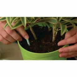 Hot Sale 🛒 Miracle-Gro 1.1 oz. Indoor Plant Food Spikes Dry Fertilizer 🤩 -Miracle-Gro Sales Store miracle gro plant food fertilizer 1002521 76 1000