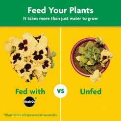 Outlet ✨ Miracle-Gro Water Soluble 1.5 lbs. All-Purpose Plant Food 😀 -Miracle-Gro Sales Store miracle gro plant food fertilizer 2001123 4f 1000