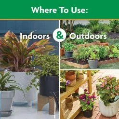 Outlet ✨ Miracle-Gro Water Soluble 1.5 lbs. All-Purpose Plant Food 😀 -Miracle-Gro Sales Store miracle gro plant food fertilizer 2001123 66 1000