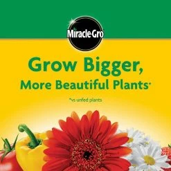 Outlet ✨ Miracle-Gro Water Soluble 1.5 lbs. All-Purpose Plant Food 😀 -Miracle-Gro Sales Store miracle gro plant food fertilizer 2001123 c3 1000