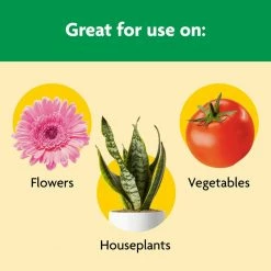Best reviews of 🔔 Miracle-Gro Shake 'N Feed All Purpose Plant Food 🤩 -Miracle-Gro Sales Store miracle gro plant food fertilizer 300181005 66 1000