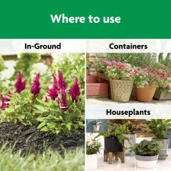 Outlet 😉 Miracle-Gro Shake 'n Feed 4.5 lbs. All Purpose Plant Food ❤️ -Miracle-Gro Sales Store miracle gro plant food fertilizer 300191005 c3 1000