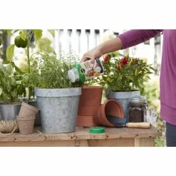 Buy 😀 Miracle-Gro Shake 'N Feed 1 lb. Tomato, Fruit and Vegetable Plant Food ⌛ -Miracle-Gro Sales Store miracle gro plant food fertilizer 3002510 4f 1000