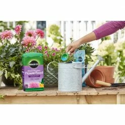 Best reviews of ✨ Miracle-Gro 5.5 lbs. Water Soluble Bloom Booster Flower Food 🧨 -Miracle-Gro Sales Store miracle gro plant food fertilizer 300981005 1f 1000