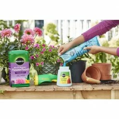 Best reviews of ✨ Miracle-Gro 5.5 lbs. Water Soluble Bloom Booster Flower Food 🧨 -Miracle-Gro Sales Store miracle gro plant food fertilizer 300981005 4f 1000
