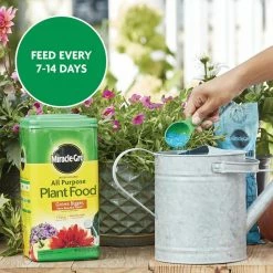 Wholesale ✨ Miracle-Gro Water Soluble 4.25 lb. All Purpose Plant Food (24-8-16) 🧨 -Miracle-Gro Sales Store miracle gro plant food fertilizer 302050605 1f 1000