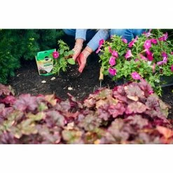 Best Sale ❤️ Miracle-Gro 3 lbs. Quick Start Planting Tablets (20-Count) 😀 11 Best Sale ❤️ Miracle-Gro 3 lbs. Quick Start Planting Tablets (20-Count) 😀 -Miracle-Gro Sales Store miracle gro plant food fertilizer 378410105 4f 1000