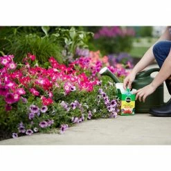 New 🔥 Miracle-Gro Garden Feeder and Water-Soluble All Purpose Plant Food Bundle 🔔 -Miracle-Gro Sales Store miracle gro plant food fertilizer vb02187 1d 1000