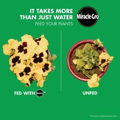 Coupon 💯 Miracle-Gro LiquaFeed 16 oz. All Purpose Plant Food Advance Starter Kit and 32 oz. Tomato, Fruits and Vegetables Refill Bundle ⭐ -Miracle-Gro Sales Store miracle gro plant food fertilizer vb02191 1f 1000