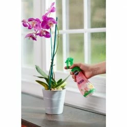 Best Pirce ⭐ Miracle-Gro Ready-To-Use Orchid Plant Food Mist (2-Pack) ❤️ -Miracle-Gro Sales Store miracle gro plant food fertilizer vb300522 1d 1000