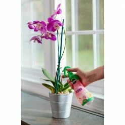 Best Pirce ⭐ Miracle-Gro Ready-To-Use Orchid Plant Food Mist (2-Pack) ❤️ -Miracle-Gro Sales Store miracle gro plant food fertilizer vb300522 66 1000