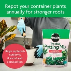 Deals 🛒 Miracle-Gro 6 Qt. Tropical Potting Mix ❤️ -Miracle-Gro Sales Store miracle gro potting soil 71276430 44 1000