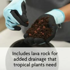 Deals 🛒 Miracle-Gro 6 Qt. Tropical Potting Mix ❤️ -Miracle-Gro Sales Store miracle gro potting soil 71276430 4f 1000