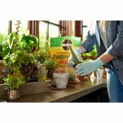 Cheap 🤩 Miracle-Gro 8 Qt. Cactus Palm and Citrus Potting Soil Mix 🛒 -Miracle-Gro Sales Store miracle gro potting soil 72078500 44 1000