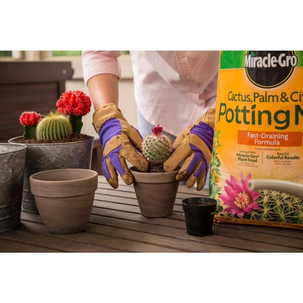 Best Sale 😉 Miracle-Gro 16 Qt. Cactus Palm and Citrus Potting Soil Mix (2-Pack) 🔔 4 Best Sale 😉 Miracle-Gro 16 Qt. Cactus Palm and Citrus Potting Soil Mix (2-Pack) 🔔 - Image 4