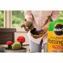 Best Sale 😉 Miracle-Gro 16 Qt. Cactus Palm and Citrus Potting Soil Mix (2-Pack) 🔔 9 Best Sale 😉 Miracle-Gro 16 Qt. Cactus Palm and Citrus Potting Soil Mix (2-Pack) 🔔 -Miracle-Gro Sales Store miracle gro potting soil vb00010 4f 1000