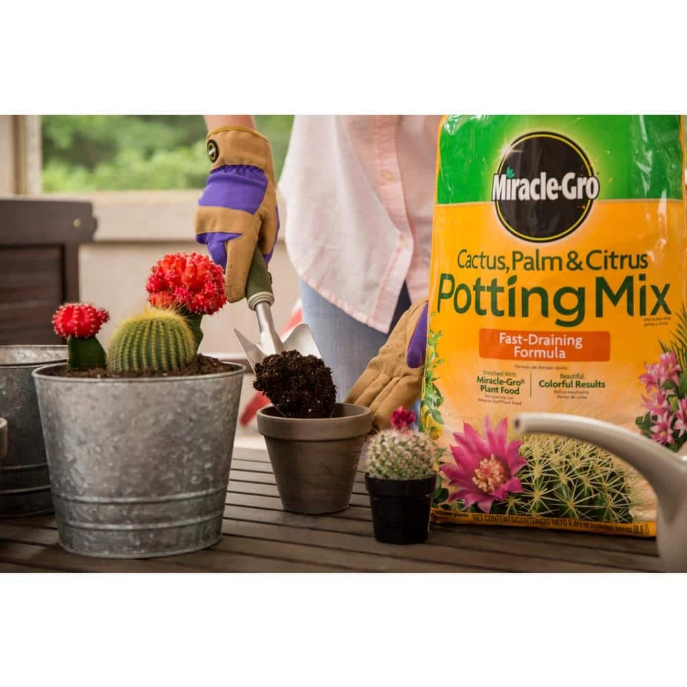 Best Sale 😉 Miracle-Gro 16 Qt. Cactus Palm and Citrus Potting Soil Mix (2-Pack) 🔔 2 Best Sale 😉 Miracle-Gro 16 Qt. Cactus Palm and Citrus Potting Soil Mix (2-Pack) 🔔 - Image 2