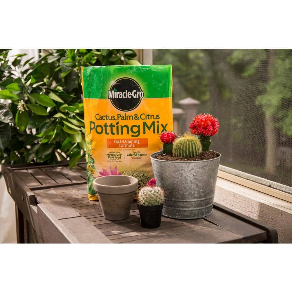 Best Sale 😉 Miracle-Gro 16 Qt. Cactus Palm and Citrus Potting Soil Mix (2-Pack) 🔔 6 Best Sale 😉 Miracle-Gro 16 Qt. Cactus Palm and Citrus Potting Soil Mix (2-Pack) 🔔 - Image 6