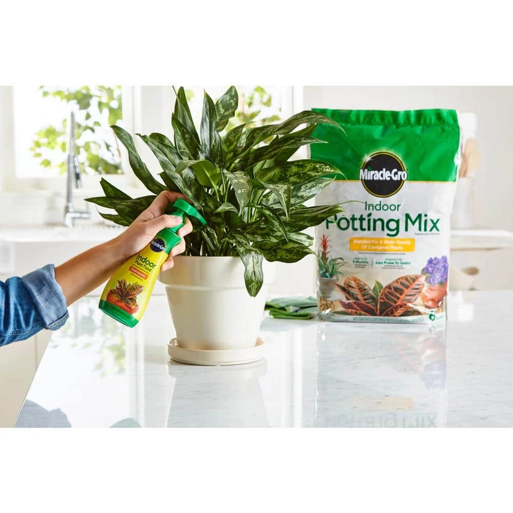 Best reviews of ๐ฅฐ Miracle-Gro Indoor Potting Mix and Indoor Plant Food ๐ 5 Best reviews of ๐ฅฐ Miracle-Gro Indoor Potting Mix and Indoor Plant Food ๐ - Image 5