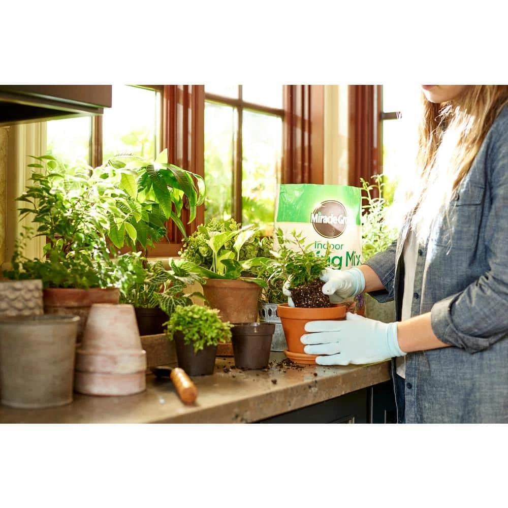 Best reviews of ๐ฅฐ Miracle-Gro Indoor Potting Mix and Indoor Plant Food ๐ 3 Best reviews of ๐ฅฐ Miracle-Gro Indoor Potting Mix and Indoor Plant Food ๐ - Image 3