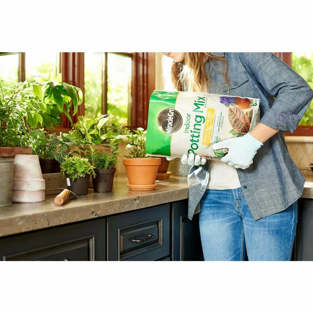 Best reviews of ๐ฅฐ Miracle-Gro Indoor Potting Mix and Indoor Plant Food ๐ 2 Best reviews of ๐ฅฐ Miracle-Gro Indoor Potting Mix and Indoor Plant Food ๐ - Image 2